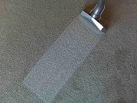 Carpet Cleaning